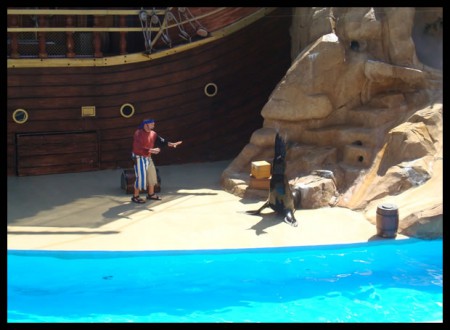 L'otarie Clyde ou Symore (je ne sais plus) avec un marin 