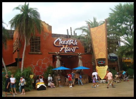 En route vers l'attraction du "Cheetah Hunt" 