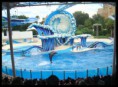 /album/seaworld1/sea15-jpg1/